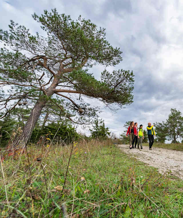 DER HOCHRHÖNER® Kuppenrhön - Etappe 5: Von der Wasserkuppe nach Gotthards