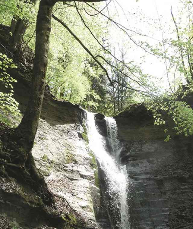 Wasserfall Mutzbachfall