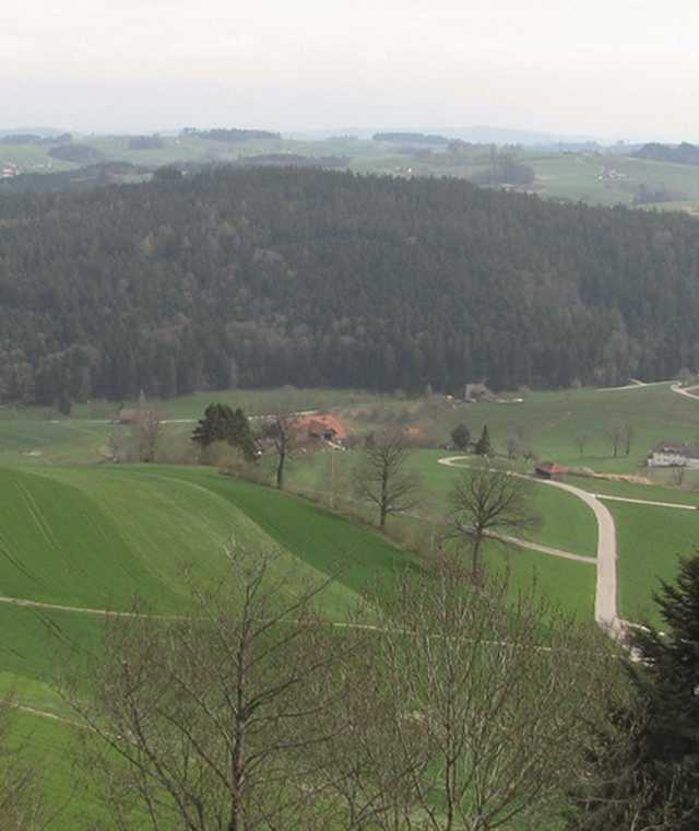 Wiesenhänge in Oberaargau