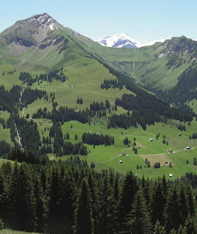 Blick auf den Panoramaweg