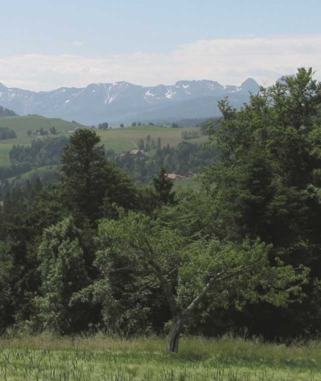 Aussicht Richtung Gantrisch