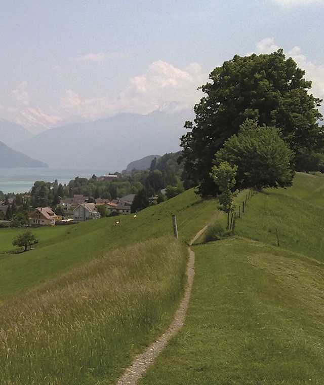 Vom Kamm des Strättlighügels hat man einen herrlichen Ausblick zum Thunersee