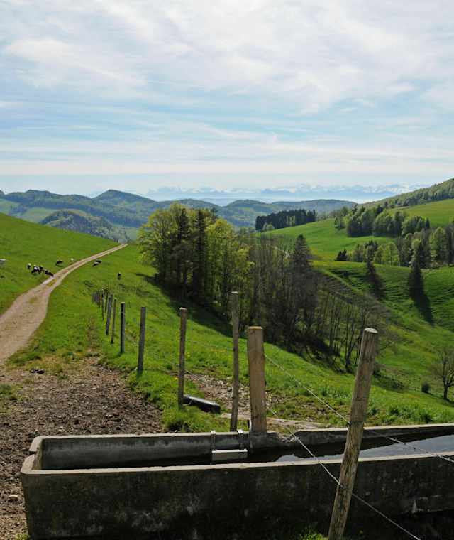 Blick Richtung Sol Hauberg