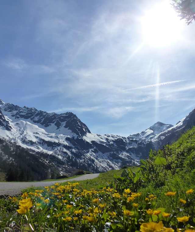 Laponesalm Fahrstraße