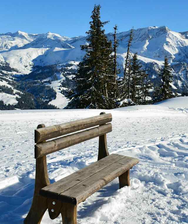 Ein Platz an der Sonne