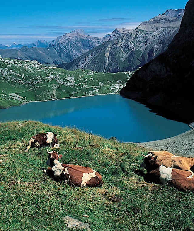 Der Iffigsee 