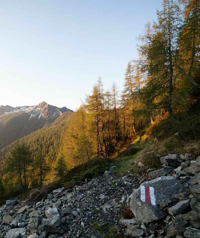 Blick auf die Tessiner Alpen