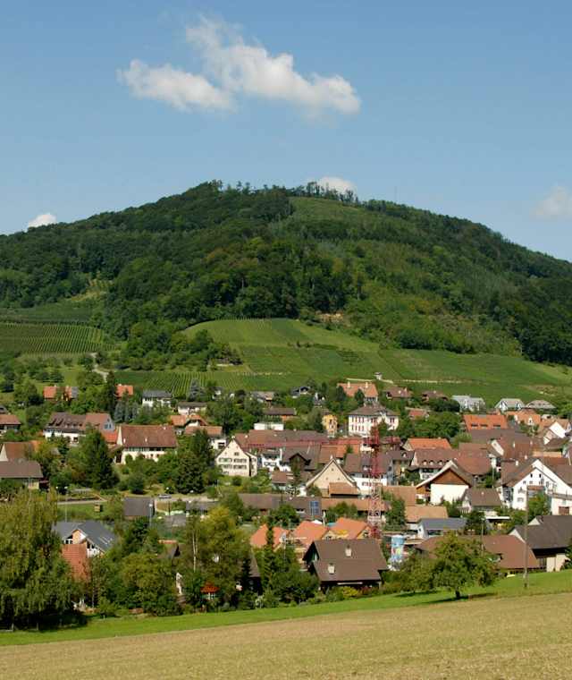Weinanbaugebiet Maisprach