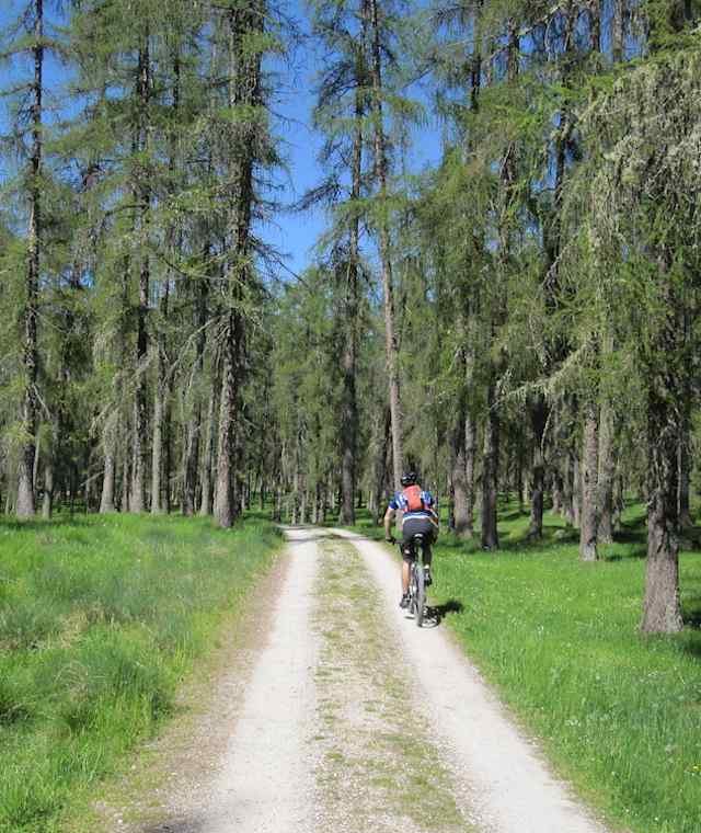 Auffahrt in Richtung Marienbergjoch