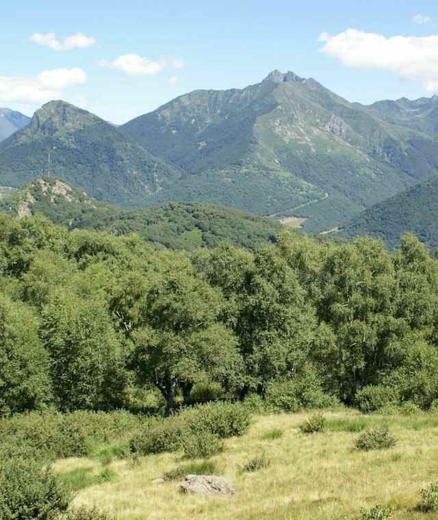 Blick auf die Tessiner Alpen
