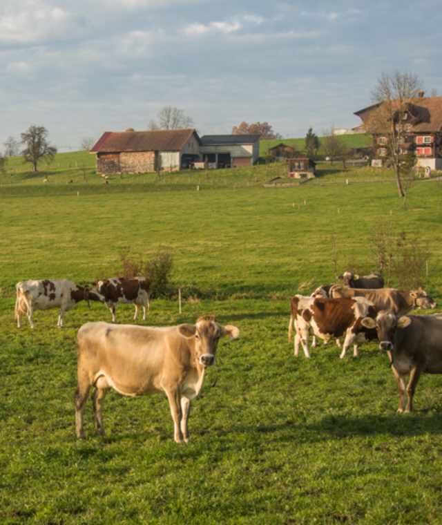 Menznau-Buttisholz