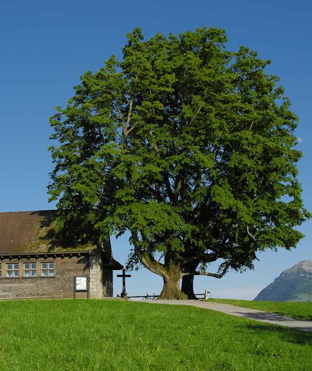 Michaelskreuz: Kapelle am Abend
