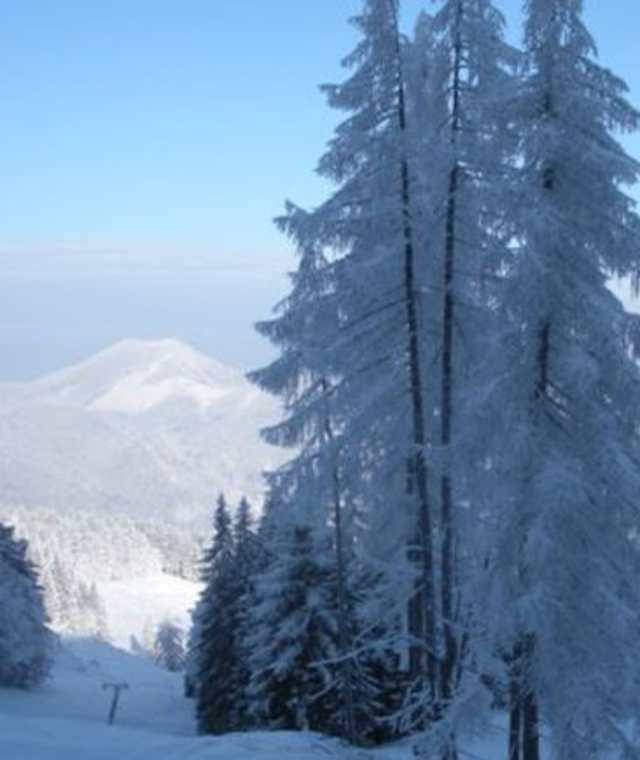 Winterlandschaft in Richtung Mittereggalm 