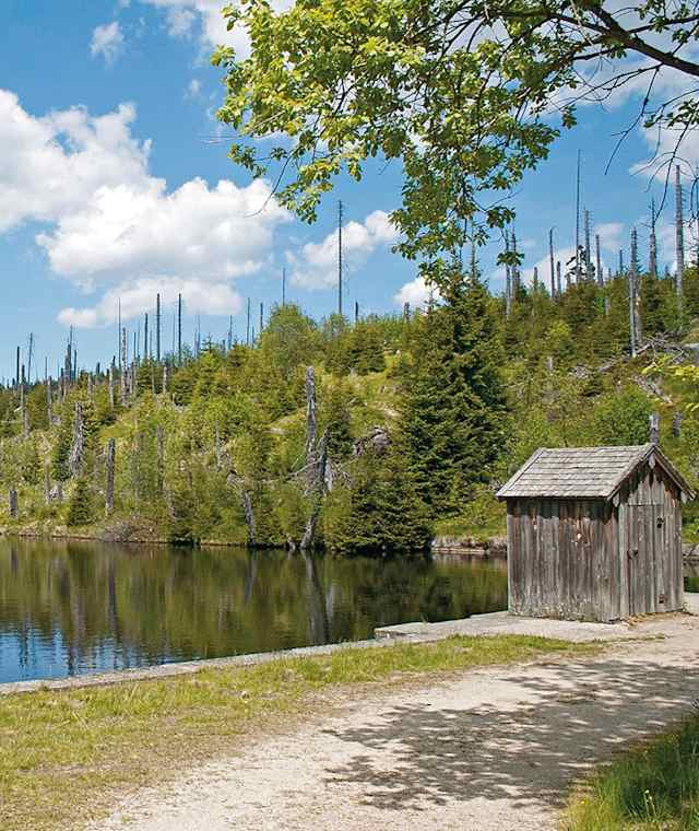 An der Reschbachklause. Der aufgestaute Reschbach wurde früher für die Holztrift genutzt.