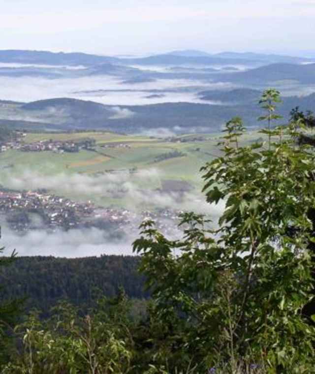 Goldsteig Zuweg Nr. 12: Von Neukirchen zur Forstdiensthütte Hohenbogen