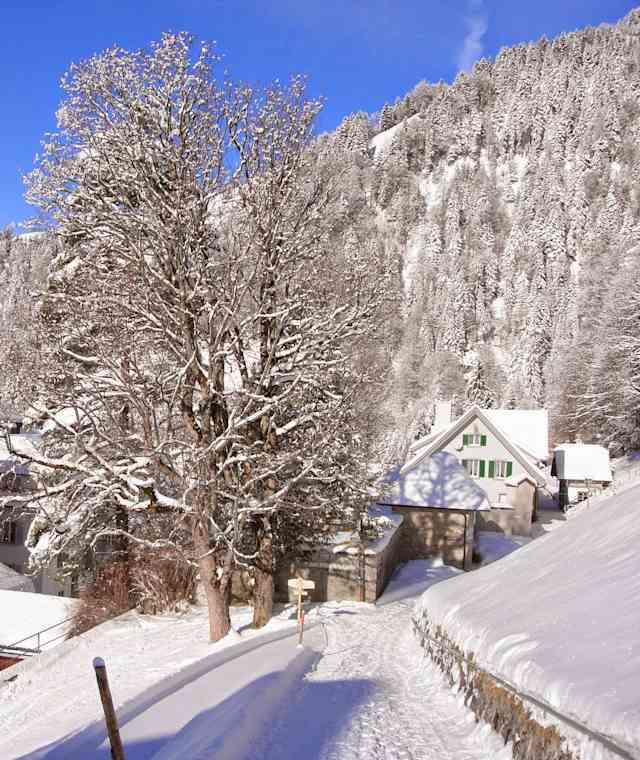 Idyllisches Niederrrickenbach