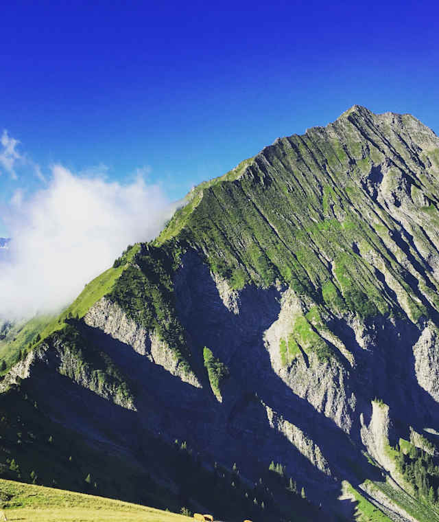 Blick vom Niesen über den ersten Teil des Gratverlaufs