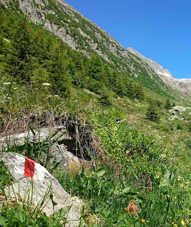 Trailrun: Oberalppass - Sedrun