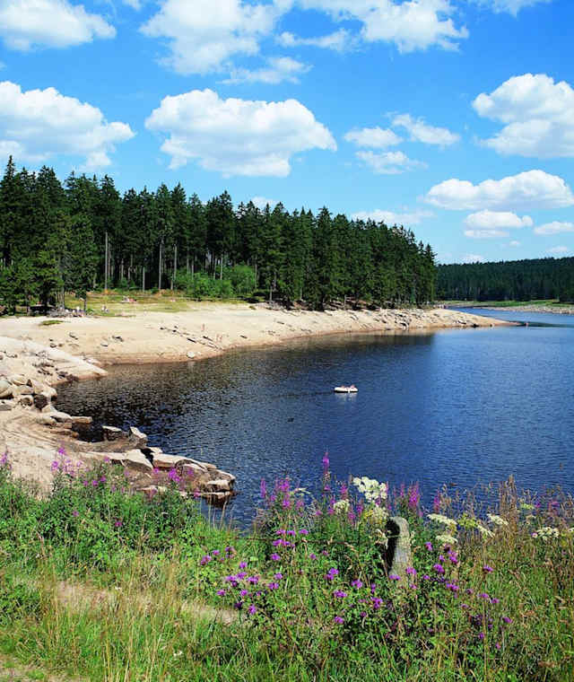 Der Oderteich bei Sankt Andreasberg