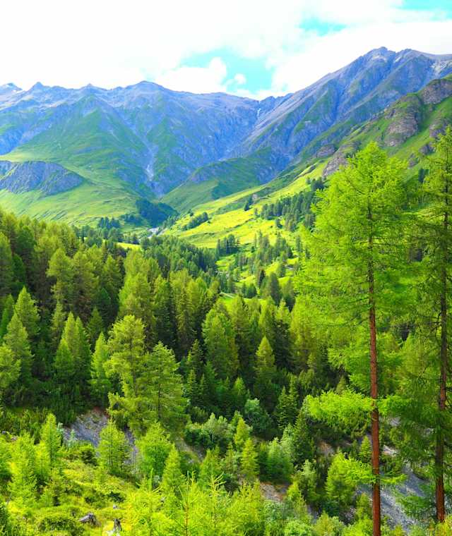 Von Scuol ins Val Sinestra