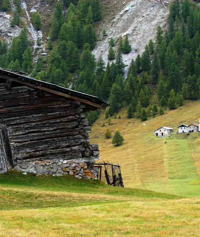 Eine Téa in den Livigno Alpen