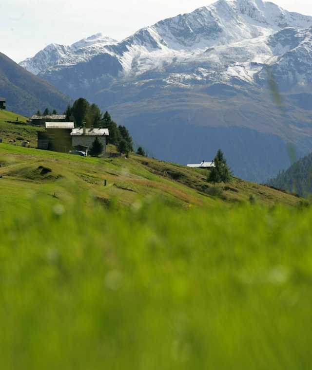 Alpine Landschaft