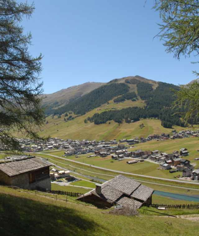 Lärchenwiesen und der Blick auf das Tal