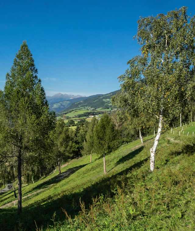Panorama von Klerant auf Brixen