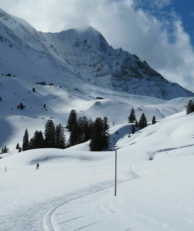Panoramalaufloipe Salwideli