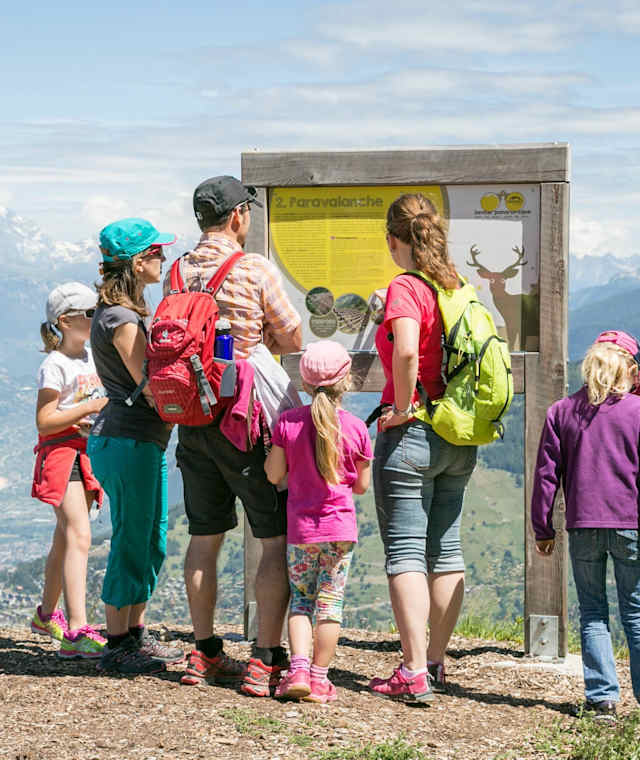 Auf dem Panoramaweg in Nendaz