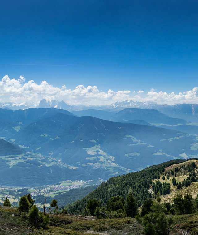 Aussicht vom Radlsee