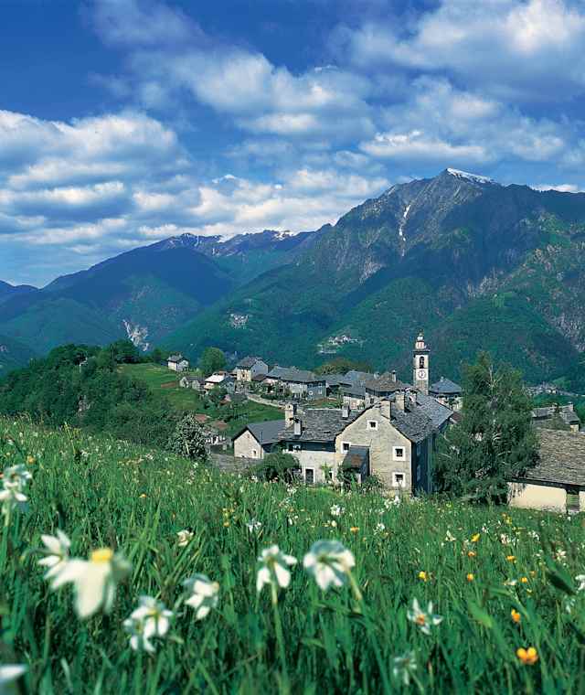 Blick auf Rasa