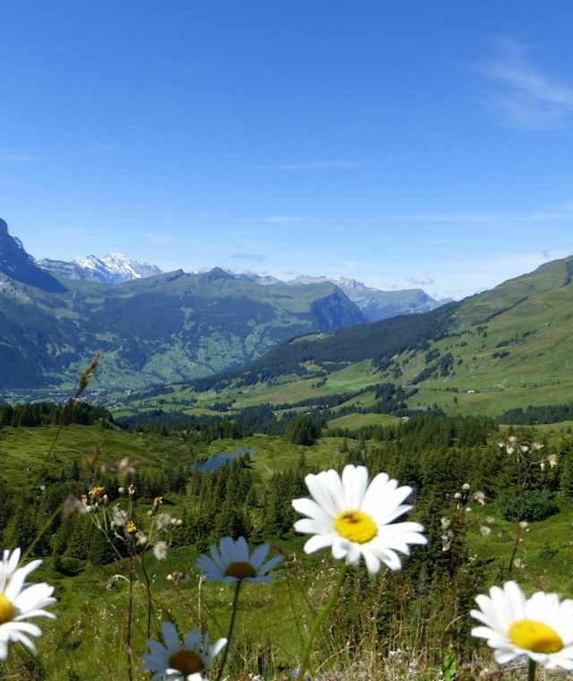 Rundwanderung Reichenbachtal