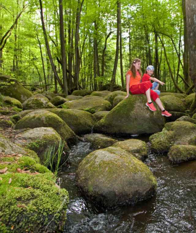 Goldsteig - Südvariante - Etappe 12: Von Falkenstein nach Wiesenfelden