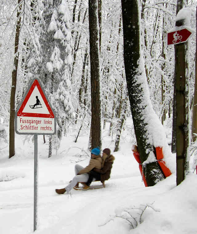Schlittelspass am Üetliberg