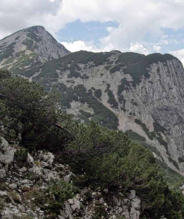 Blick in den Rottalsattel, im Hintergrund der Sengsengebirgshöhenweg auf den Rohrauer Größtenberg