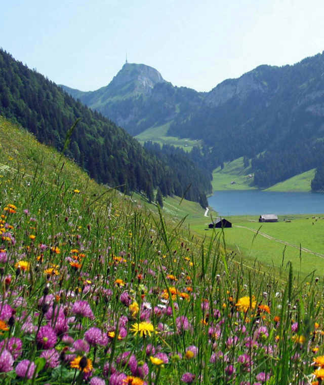 Blick vom Chüeboden auf den Sämtisersee
