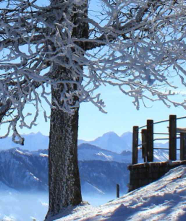 Altösch-Trail
