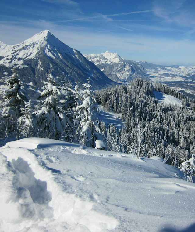 Links der felsige Niesen und Thunersee mit Spiez und Thun im Hintergrund