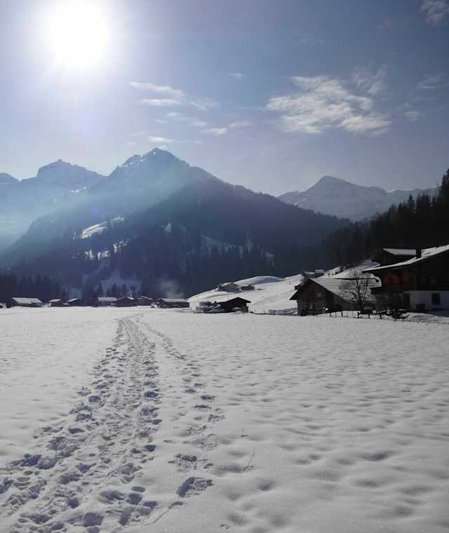 Schneeschuhmarkierung am Iffigfall Trail