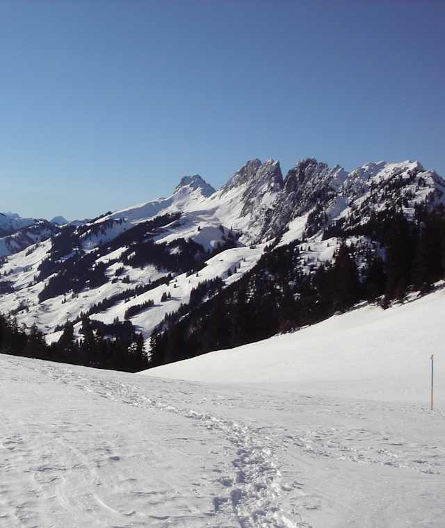 Am Schneeschuh Jaunpass Trail