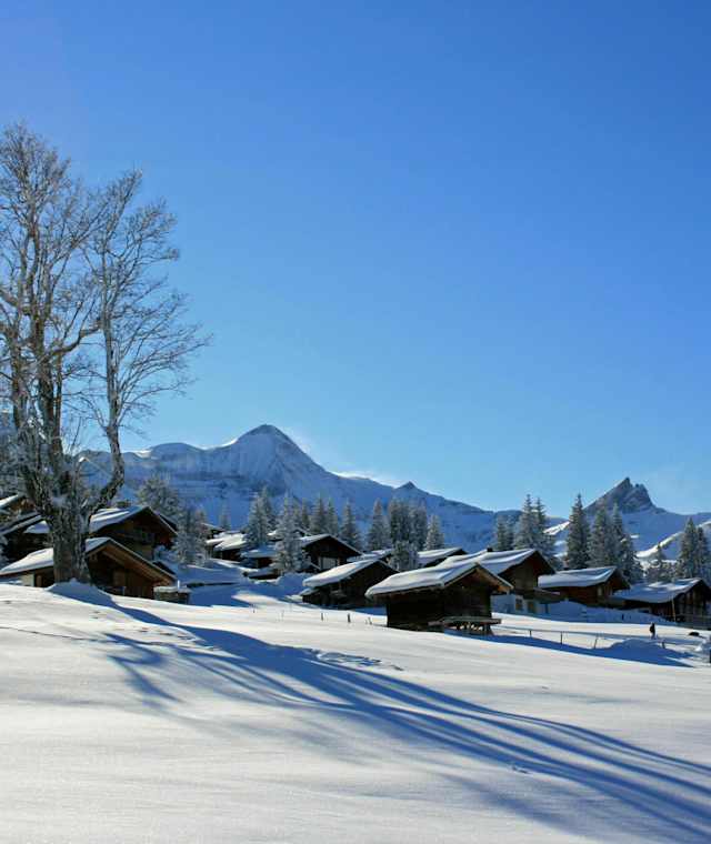 Winterlandschaft bei Axalp