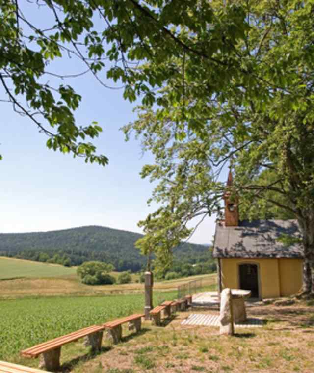 Goldsteig - Südvariante - Etappe 8: Von der Verzweigung Kulzer Moos nach Neunburg vorm Wald