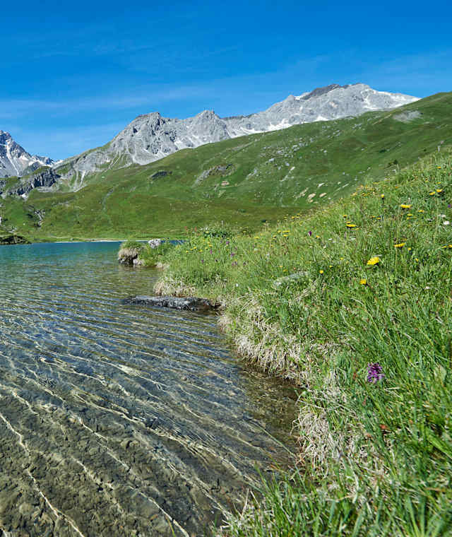 Das glasklare Wasser des Schwellisees