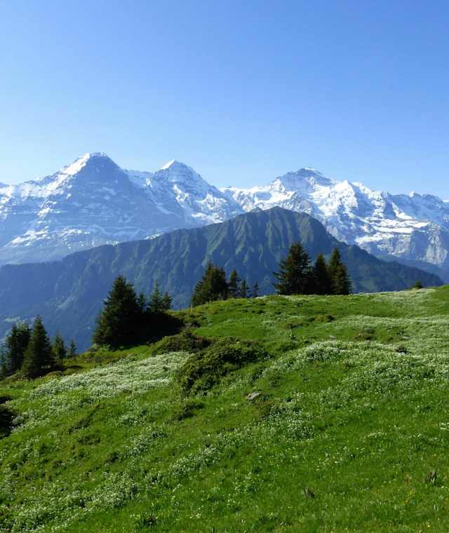 Panoramawanderung Schynige Platte-First