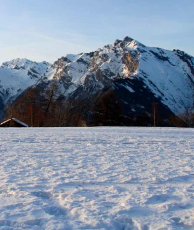 Aussicht auf die Walliser Alpen