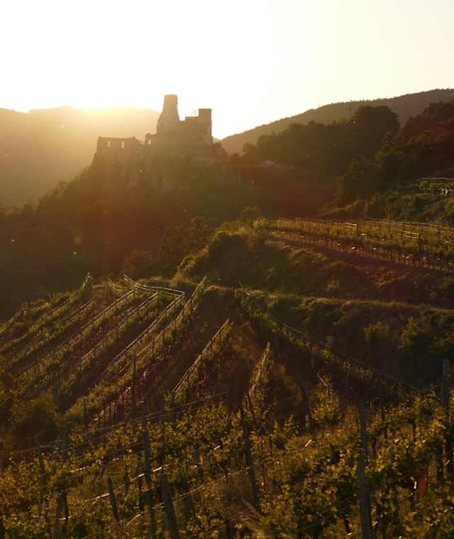 Wunderschöne Abendstimmung am Senftenberg