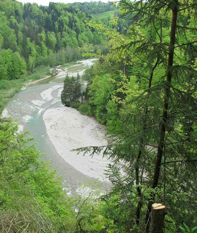 Blick auf die Sense bei der Grasburg