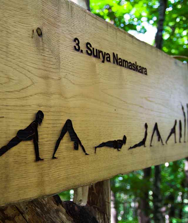 Sentiero dello Yoga