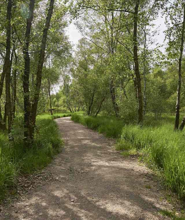 Schöne Wanderwege im Wittmoor